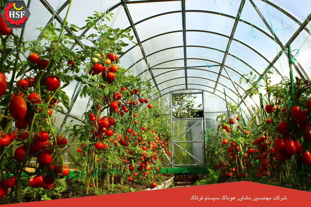 مراحل اخذ گواهینامه ایزو برای گلخانه - اخذ 5 ایزو مهم برای محصولات گلخانه