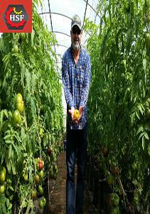اخذ گواهینامه ایزو برای گلخانه